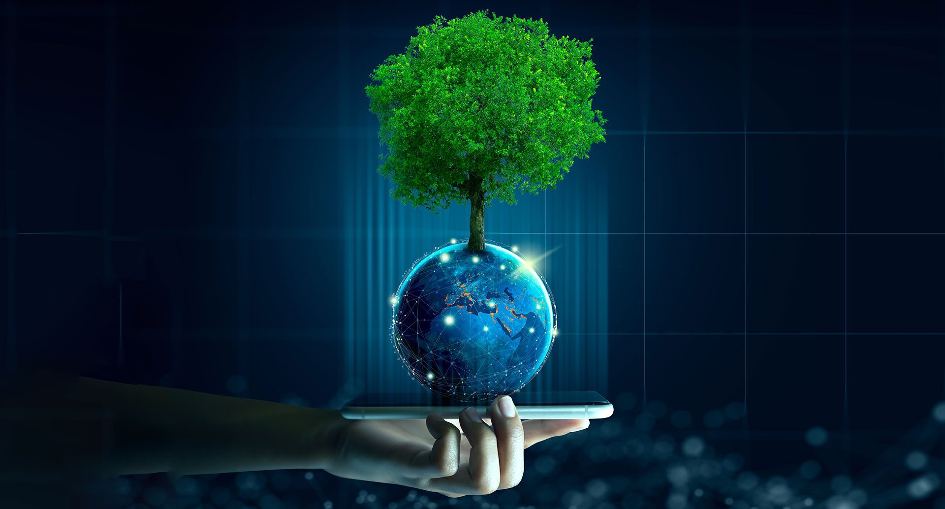 ERP an enabler of Sustainable Solutions